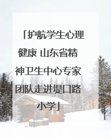 护航学生心理健康 山东省精神卫生中心专家团队走进堤口路小学