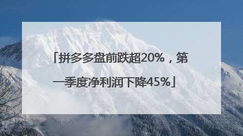 拼多多盘前跌超20%，第一季度净利润下降45%