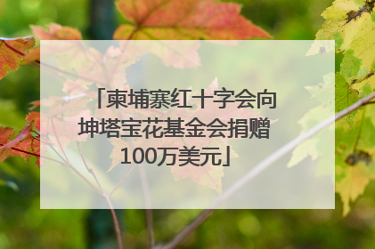 柬埔寨红十字会向坤塔宝花基金会捐赠100万美元