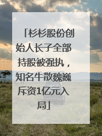 杉杉股份创始人长子全部持股被强执，知名牛散魏巍斥资1亿元入局