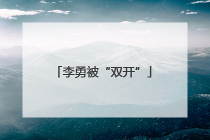 李勇被“双开”