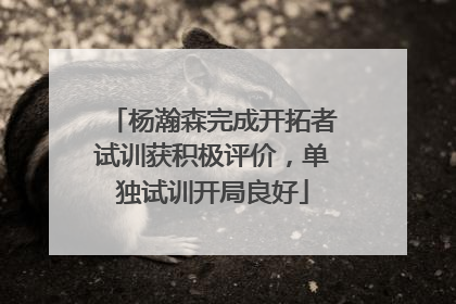 杨瀚森完成开拓者试训获积极评价，单独试训开局良好