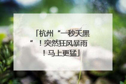杭州“一秒天黑”！突然狂风暴雨！马上更猛