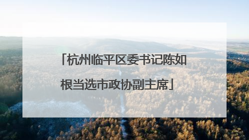 杭州临平区委书记陈如根当选市政协副主席