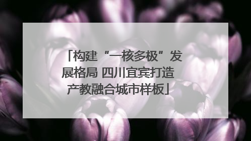 构建“一核多极”发展格局 四川宜宾打造产教融合城市样板