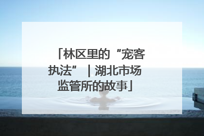 林区里的“宠客执法”｜湖北市场监管所的故事