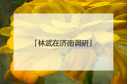 林武在济南调研