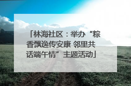 林海社区：举办“粽香飘逸传安康 邻里共话端午情”主题活动