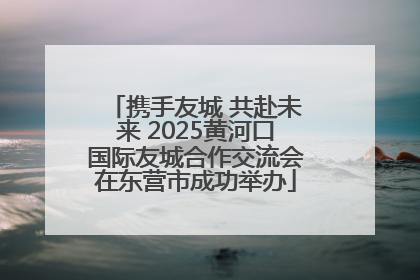 携手友城 共赴未来 2025黄河口国际友城合作交流会在东营市成功举办