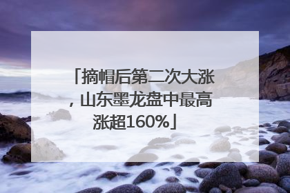 摘帽后第二次大涨，山东墨龙盘中最高涨超160%
