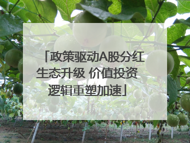 政策驱动A股分红生态升级 价值投资逻辑重塑加速