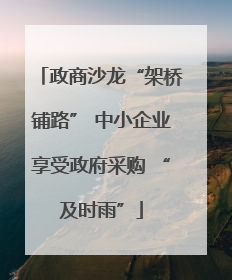 政商沙龙“架桥铺路” 中小企业享受政府采购 “及时雨”