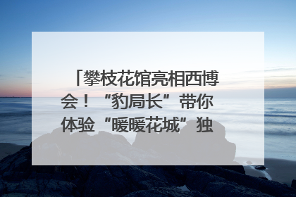 攀枝花馆亮相西博会！“豹局长”带你体验“暖暖花城”独特魅力｜西博视界
