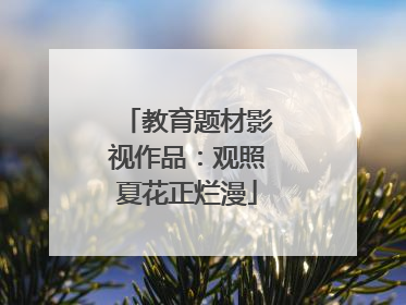 教育题材影视作品：观照夏花正烂漫