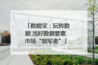 数据宝：玩转数据 当好数据要素市场“领军者”