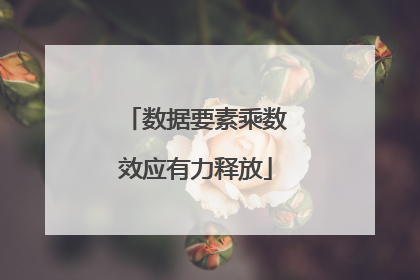 数据要素乘数效应有力释放