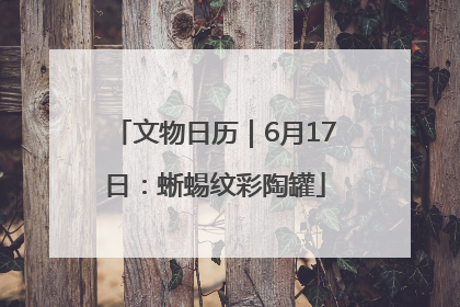 文物日历｜6月17日：蜥蜴纹彩陶罐
