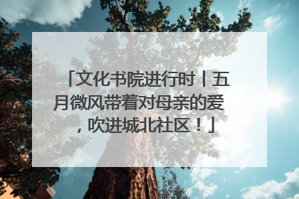 文化书院进行时丨五月微风带着对母亲的爱，吹进城北社区！