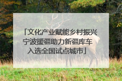 文化产业赋能乡村振兴 宁波援疆助力新疆库车入选全国试点城市