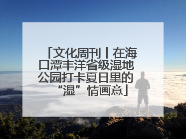 文化周刊丨在海口潭丰洋省级湿地公园打卡夏日里的“湿”情画意