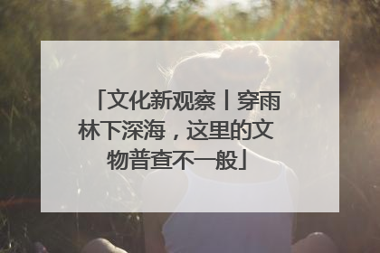 文化新观察丨穿雨林下深海，这里的文物普查不一般