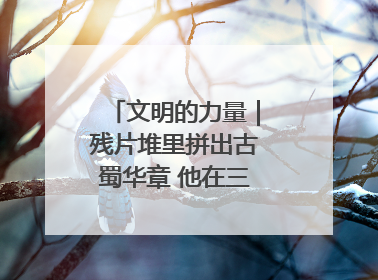 文明的力量｜残片堆里拼出古蜀华章 他在三星堆修文物