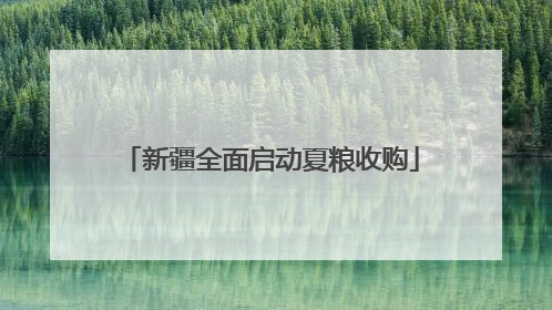 新疆全面启动夏粮收购