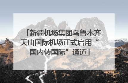 新疆机场集团乌鲁木齐天山国际机场正式启用“国内转国际”通道