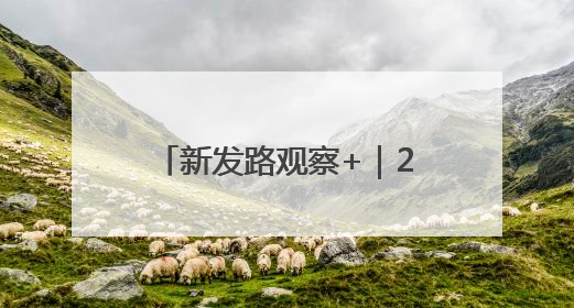 新发路观察+｜20天内，省委书记两次“四不两直”暗访，有何深意？