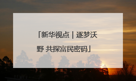 新华视点｜逐梦沃野 共探富民密码