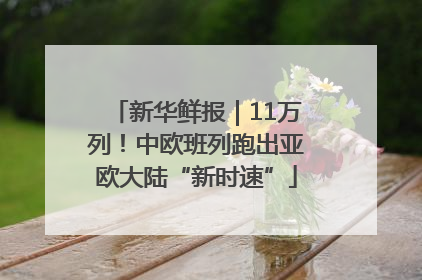 新华鲜报｜11万列！中欧班列跑出亚欧大陆“新时速”