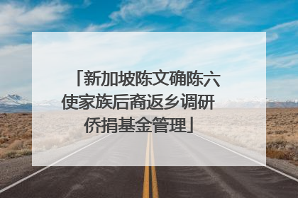 新加坡陈文确陈六使家族后裔返乡调研侨捐基金管理