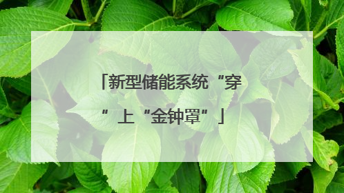 新型储能系统“穿”上“金钟罩”