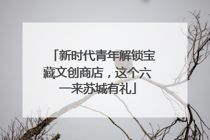 新时代青年解锁宝藏文创商店，这个六一来苏城有礼