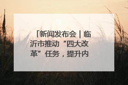 新闻发布会｜临沂市推动“四大改革”任务，提升内部审计监督效能