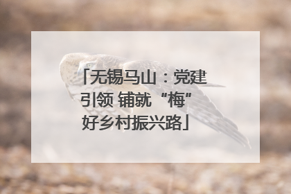 无锡马山：党建引领 铺就“梅”好乡村振兴路