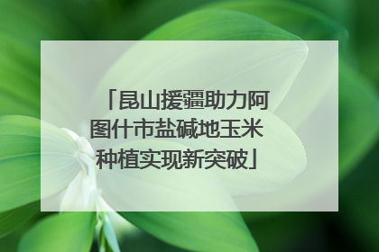 昆山援疆助力阿图什市盐碱地玉米种植实现新突破