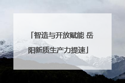 智造与开放赋能 岳阳新质生产力提速