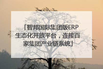 智邦国际集团版ERP生态化开放平台，连接百家集团产业链系统