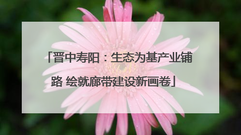 晋中寿阳：生态为基产业铺路 绘就廊带建设新画卷