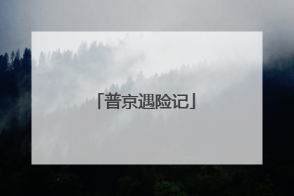 普京遇险记