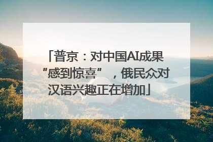 普京：对中国AI成果“感到惊喜”，俄民众对汉语兴趣正在增加