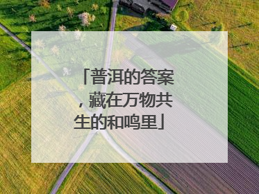 普洱的答案，藏在万物共生的和鸣里