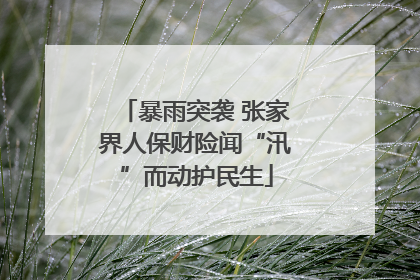 暴雨突袭 张家界人保财险闻“汛”而动护民生