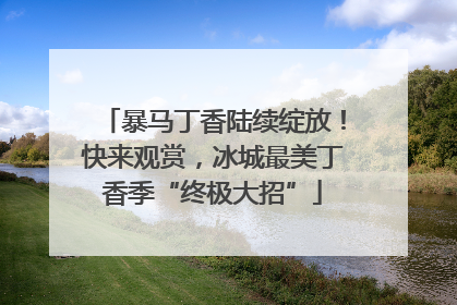 暴马丁香陆续绽放！快来观赏，冰城最美丁香季“终极大招”