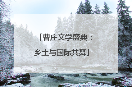 曹庄文学盛典：乡土与国际共舞