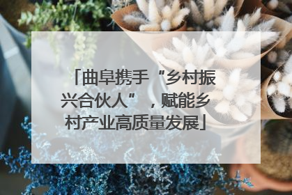 曲阜携手“乡村振兴合伙人”，赋能乡村产业高质量发展