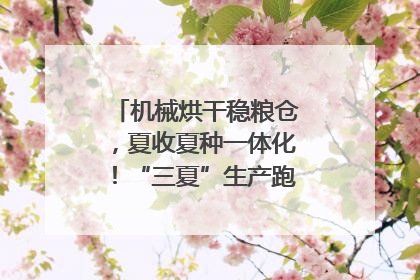机械烘干稳粮仓，夏收夏种一体化！“三夏”生产跑出加速度｜麦报