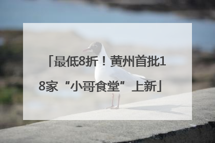 最低8折！黄州首批18家“小哥食堂”上新