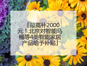 最高补2000元！北京对智能马桶等4类智能家居产品给予补贴